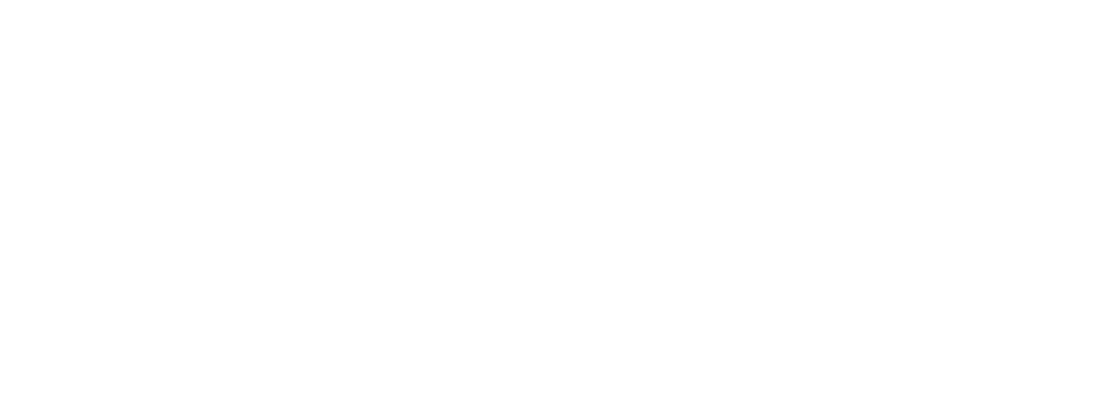 Siegel des German Web Awards 2025